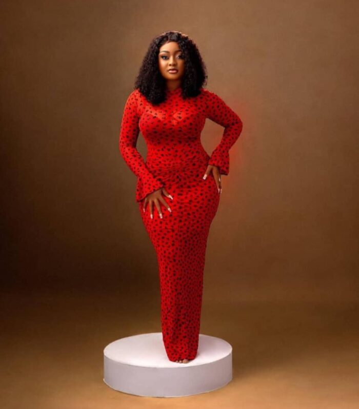 Crimson Leopard Print Long-Sleeve Maxi Dress